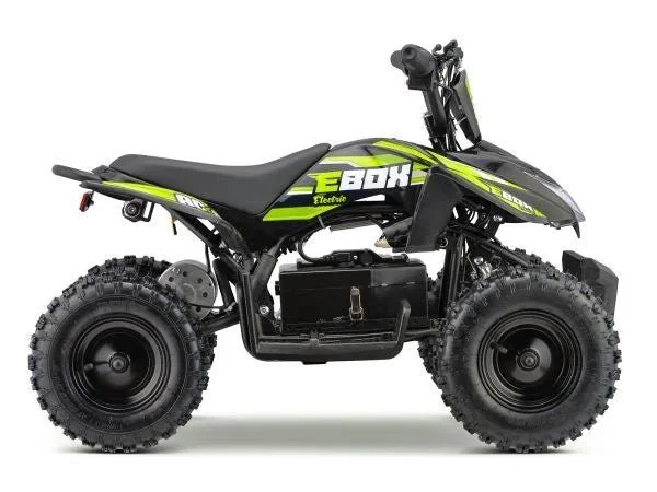 EBOX ACDC ELECTRIC WIRED 800W 36V QUAD BIKE